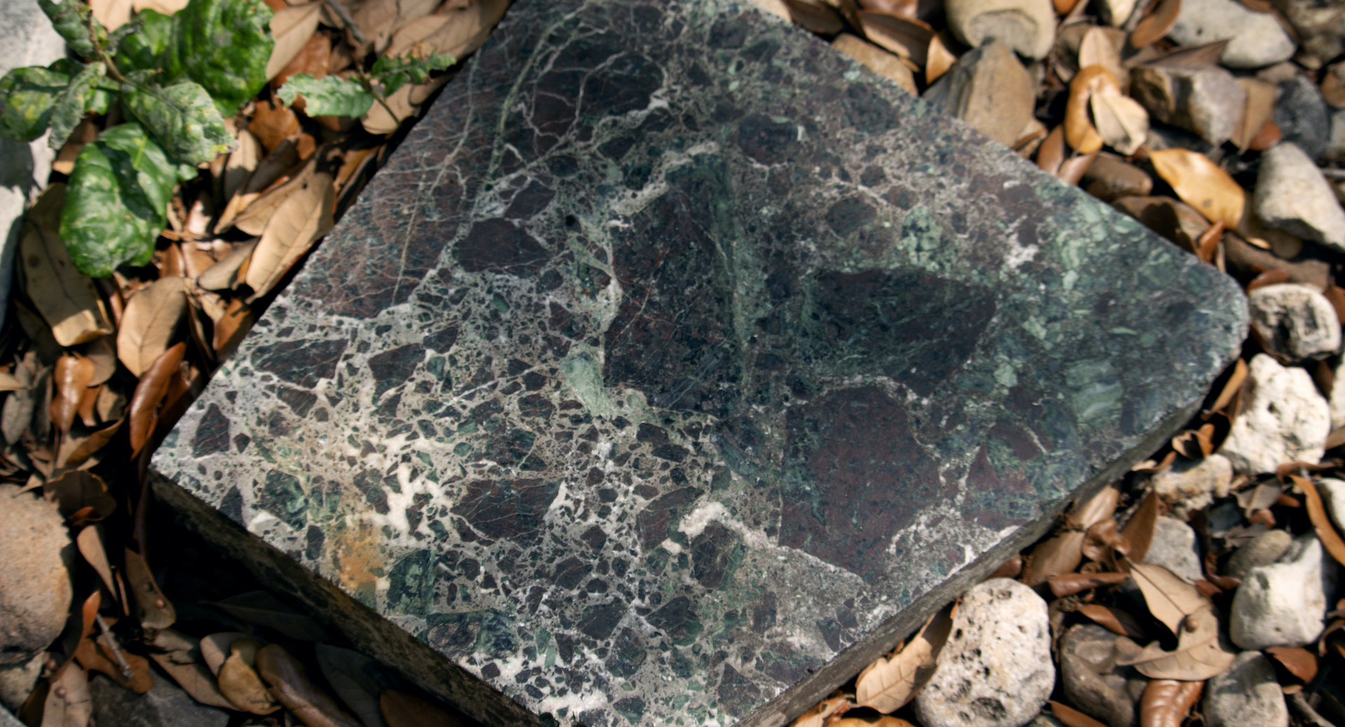Polished Conglomerate
