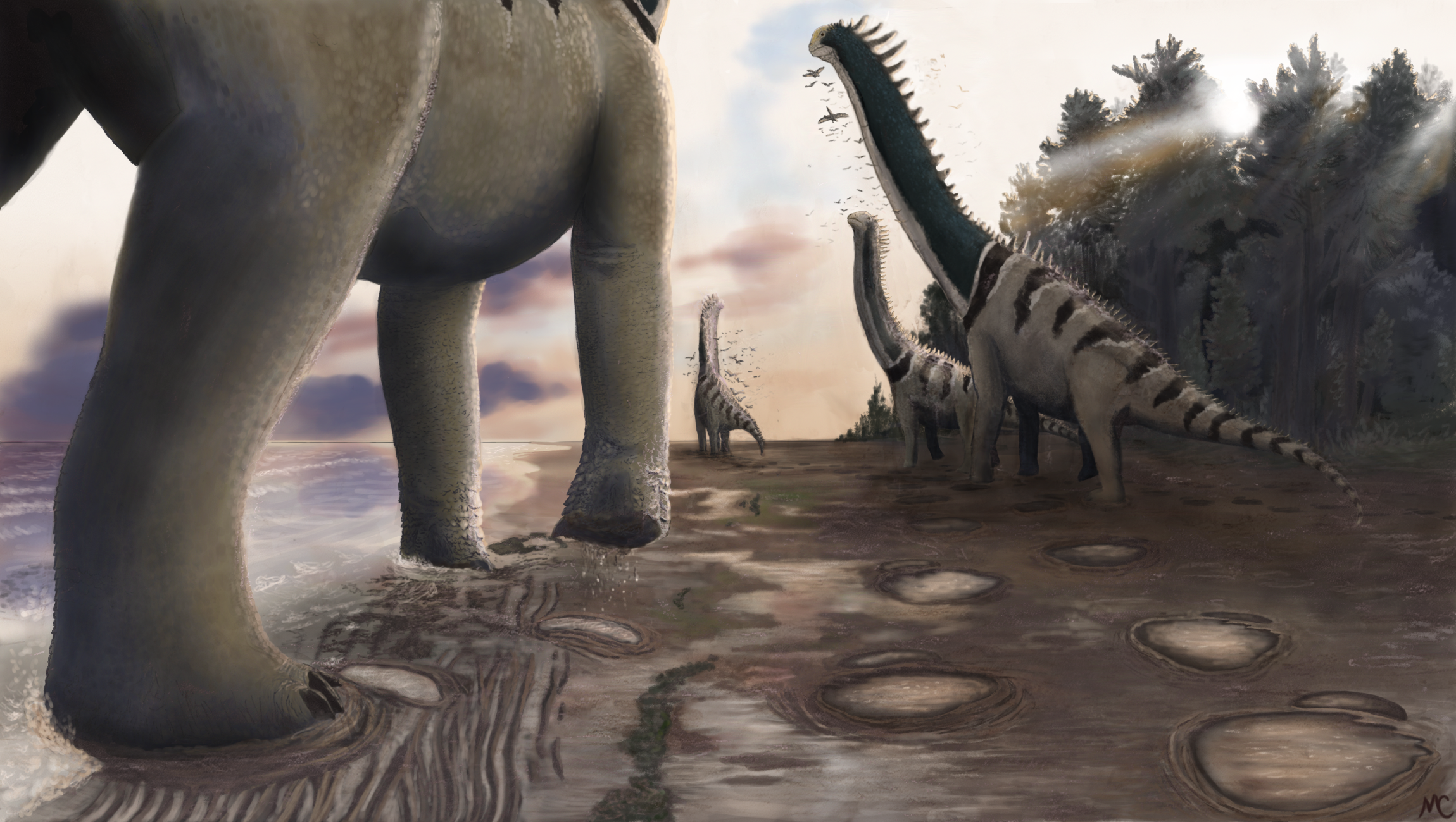 Sauropod Beach