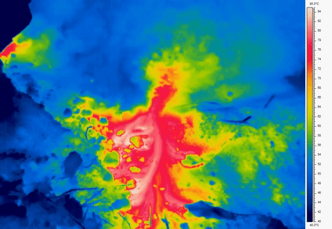 Terrestrial smoker infrared video from 2012 research story. 